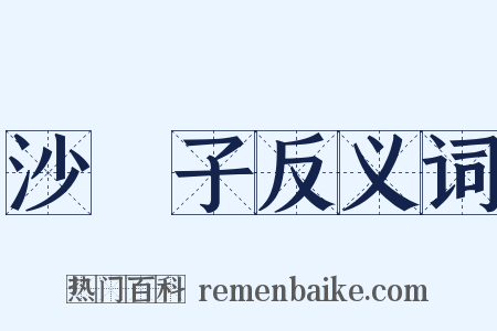 沙殻子反义词是什么意思的图片